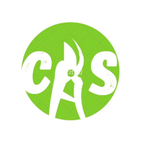 xn--cslagage-c1a.fr